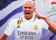 开云体育平台APP-转会传闻：哈兰德或重返德甲赛场的简单介绍