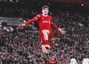 开云体育平台APP-包含利物浦中场战术精妙：进攻犀利缔造传奇的词条