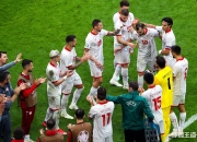 开云体育中国-荷兰球员因足球踢飞漂浮球赛事落下悬念