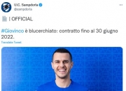 开云平台-桑普多利亚老将受伤，球队面临人员调整的简单介绍