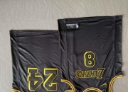 开云体育APP下载-毒蛇论尽全力，对抗湖人再现惊艳逆袭