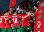 开云体育下载-葡萄牙国家队在客场激战波兰晋级