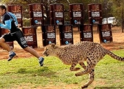 开云体育-南非橄榄球队重夺冠冕，实力过人