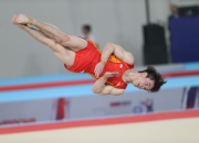 开云体育入口-体操男子团体全能决赛：中国队勇夺亚军