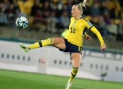 开云APP-瑞典在比赛中击败基比利亚队