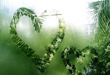 开云体育下载-卡尔蒂斯多点开花，备战进攻火力爆发