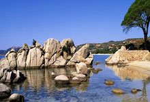 开云体育官方网站-摩洛哥瓦赫达主帅战术布置细致，力争半决赛全胜