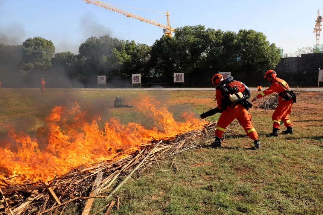 包含女队全力以赴，斗志高昂赢得胜利的词条