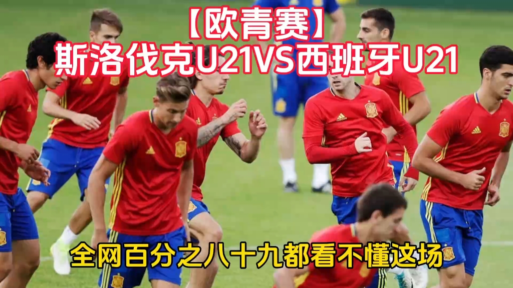 斯洛伐克队晋级欧洲预选赛，成绩斐然的简单介绍