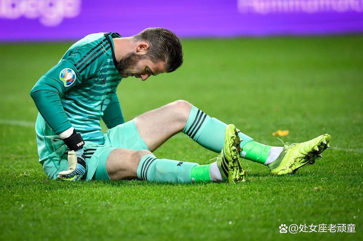 布冯助攻破荷兰球门，意大利队取得胜利