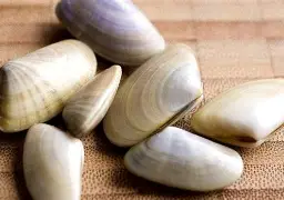 贝内文托客场血战，最终收获三分奖励