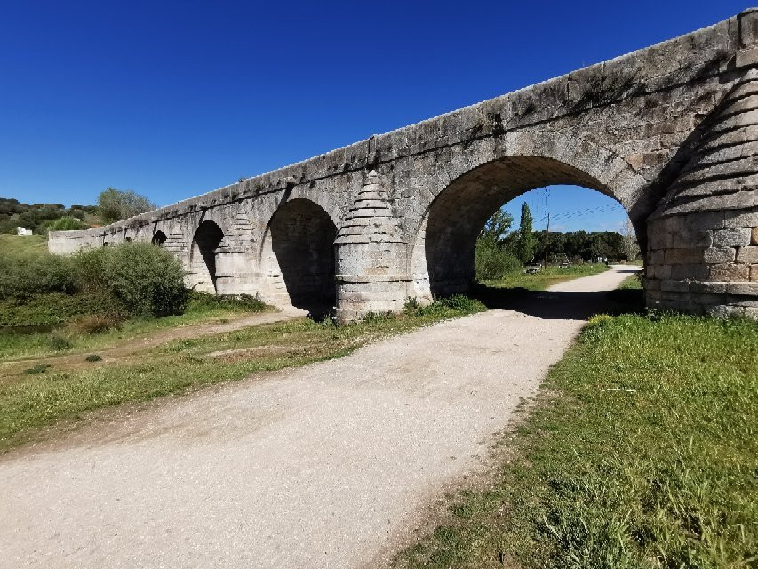 拉斯罗萨斯主场大失一场，形势紧急