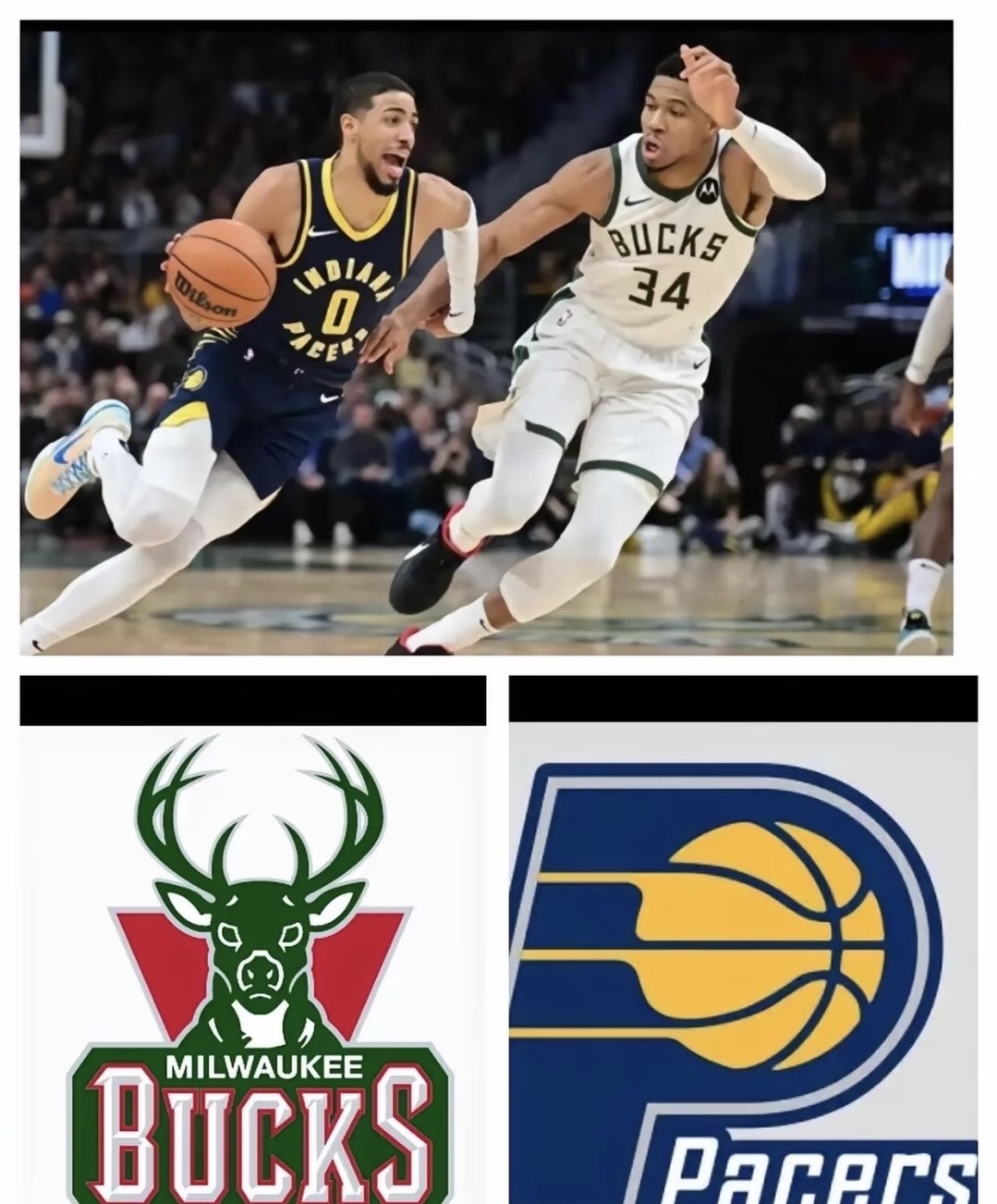 雄鹿击败勇士,雄鹿成为西部新晋劲旅 雄鹿击败勇士,雄鹿成为西部新晋劲旅