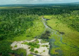 刚果民主共和国队险胜晋级,前途一片光明 刚果民主共和国队险胜晋级,前途一片光明