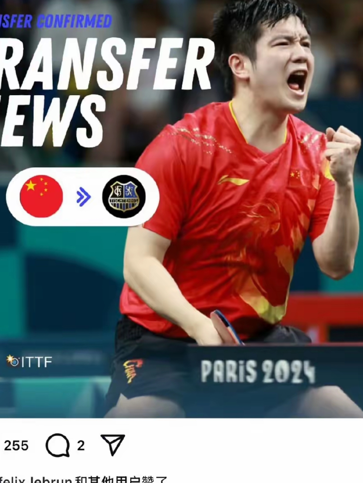 德国队完胜英格兰队，樊振东刷新纪录的简单介绍